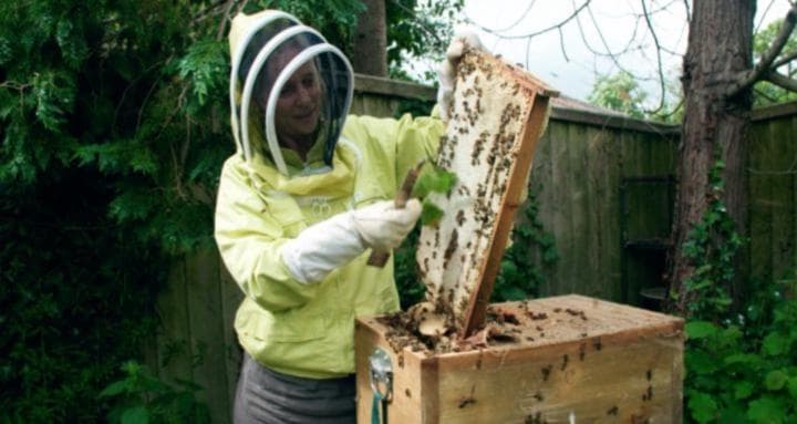 Spiritual Beekeeping cover